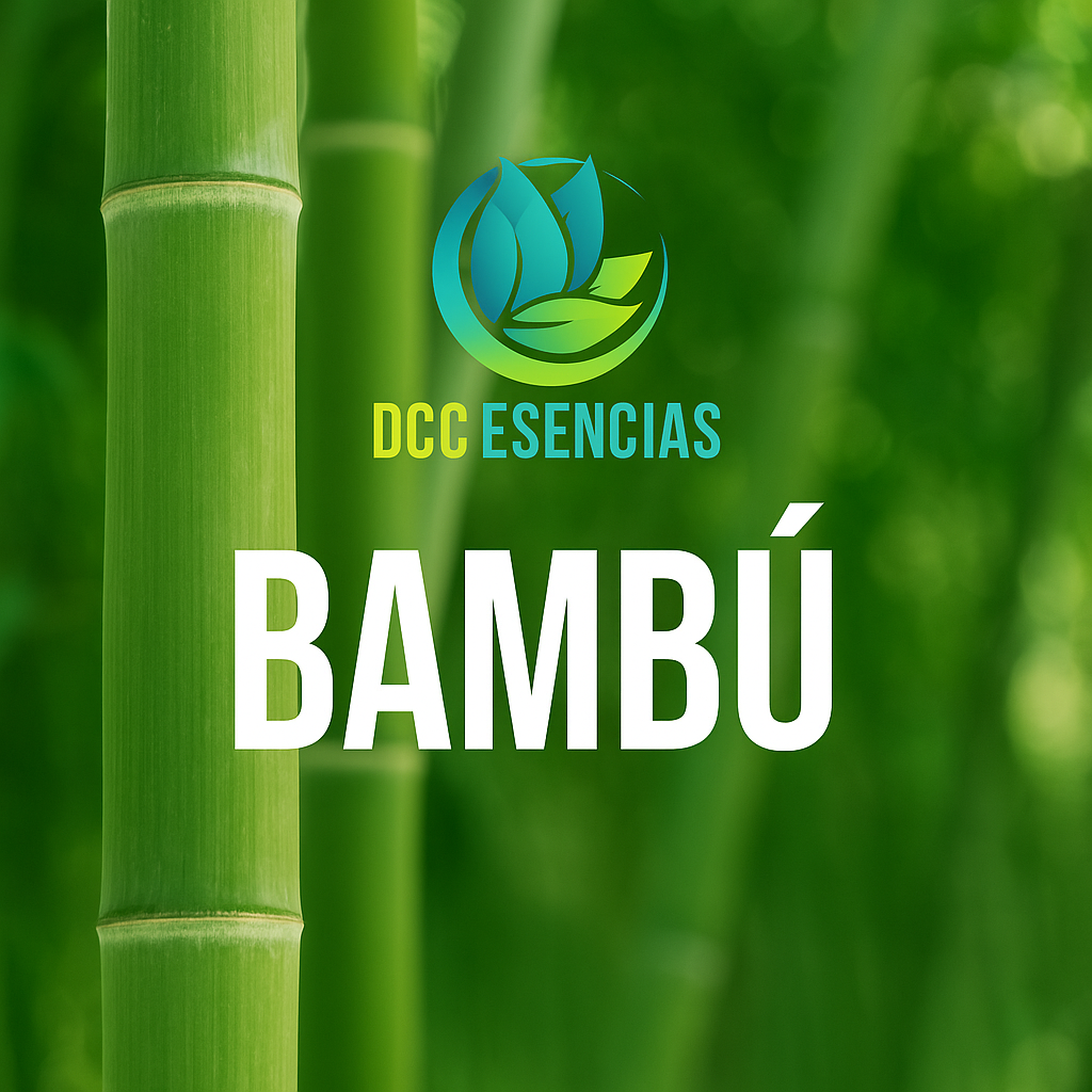Bambú