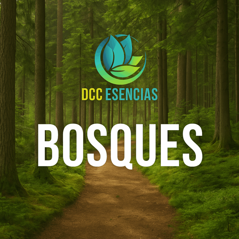 Bosques