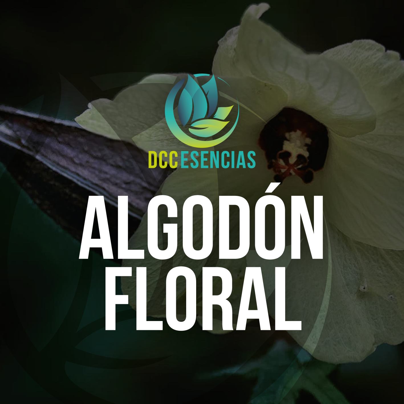 Algodón Floral