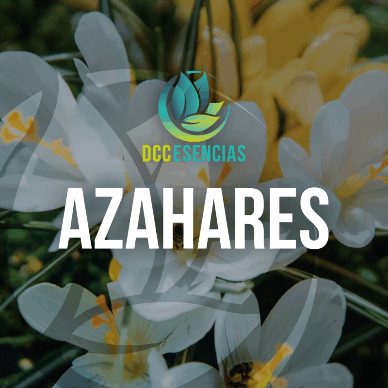 Azahares