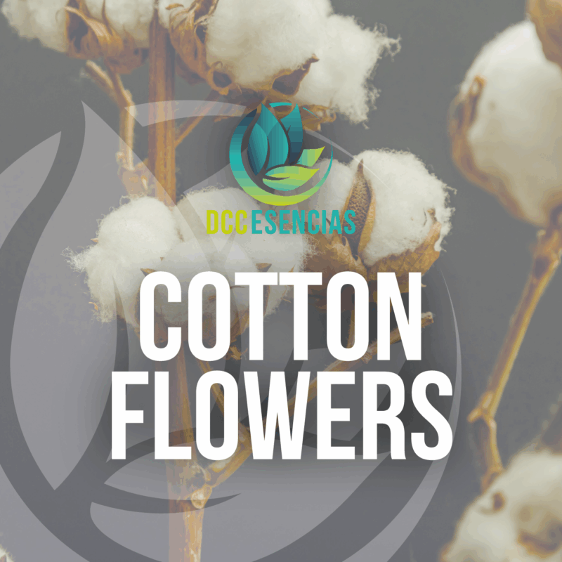 Cotton Flowers