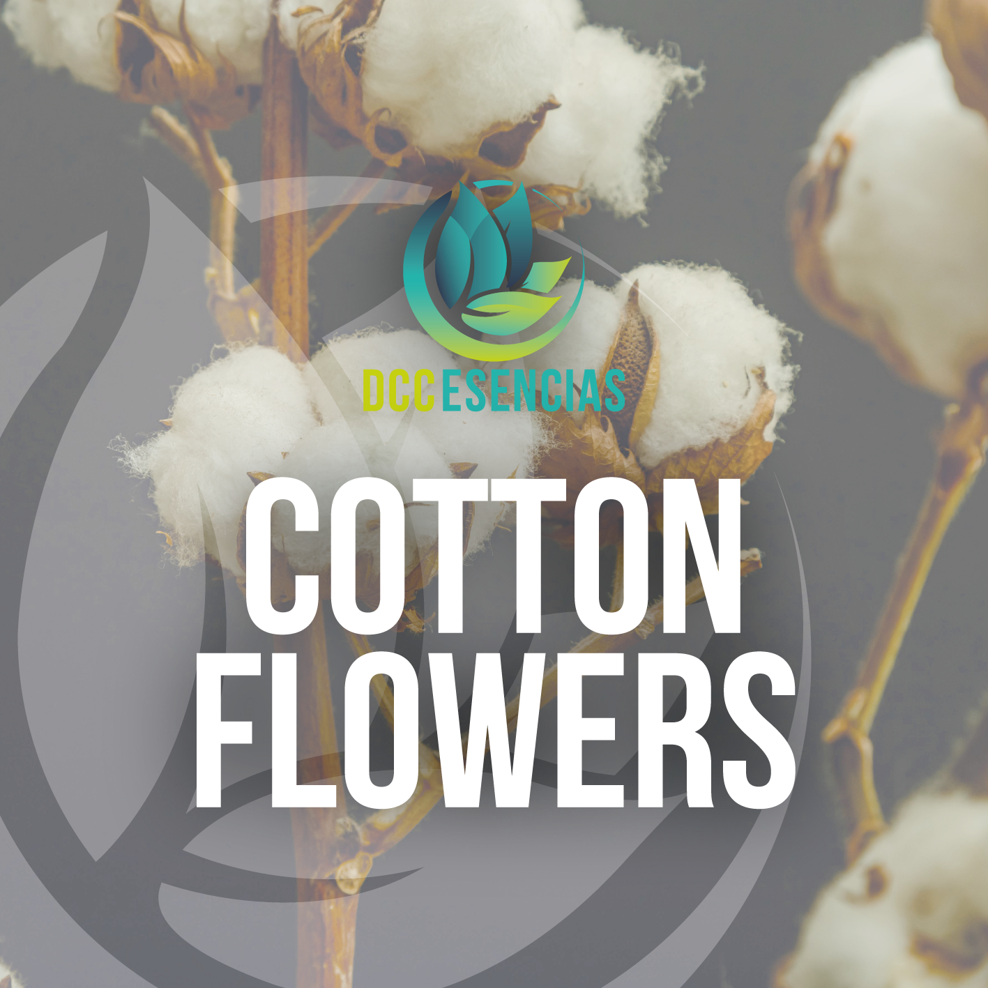 Cotton Flowers
