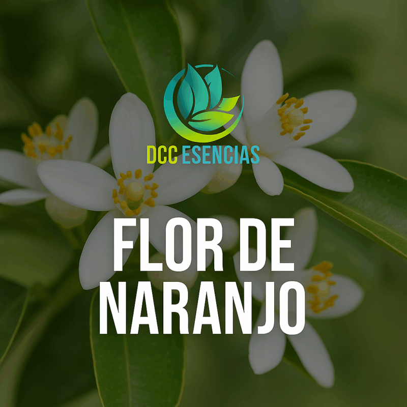 Flor de Naranjo