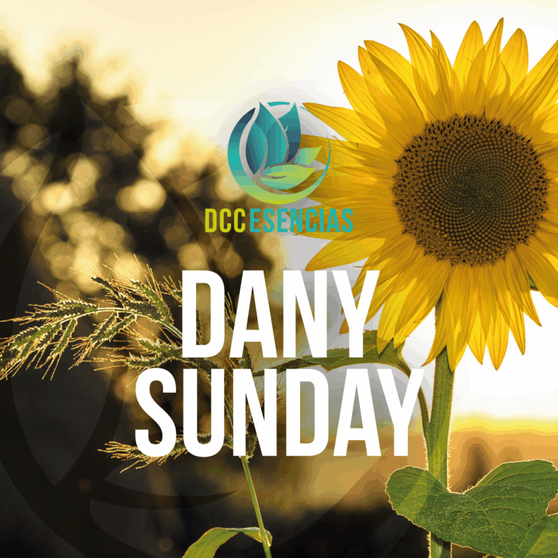 Dany Sunday