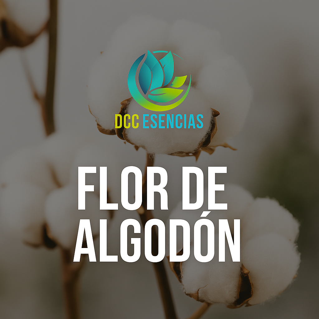 Flor de Algodón