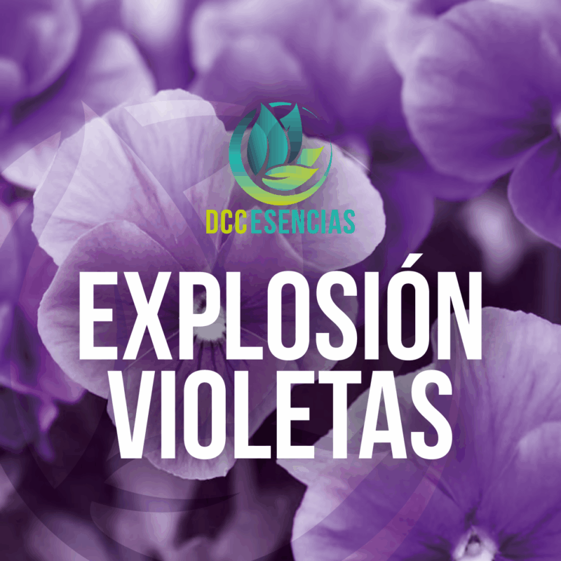 Explosion Violetas