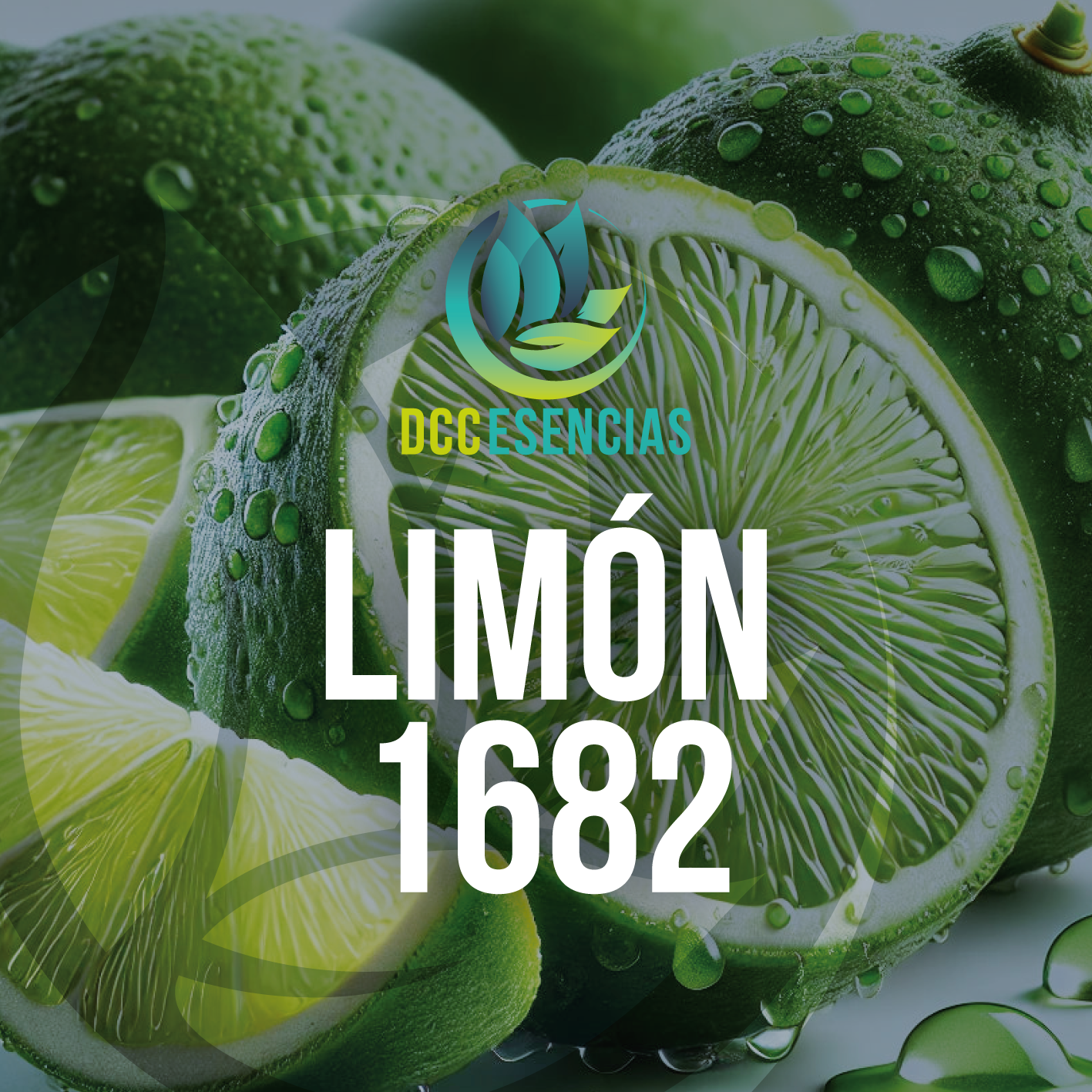 Limón 1682