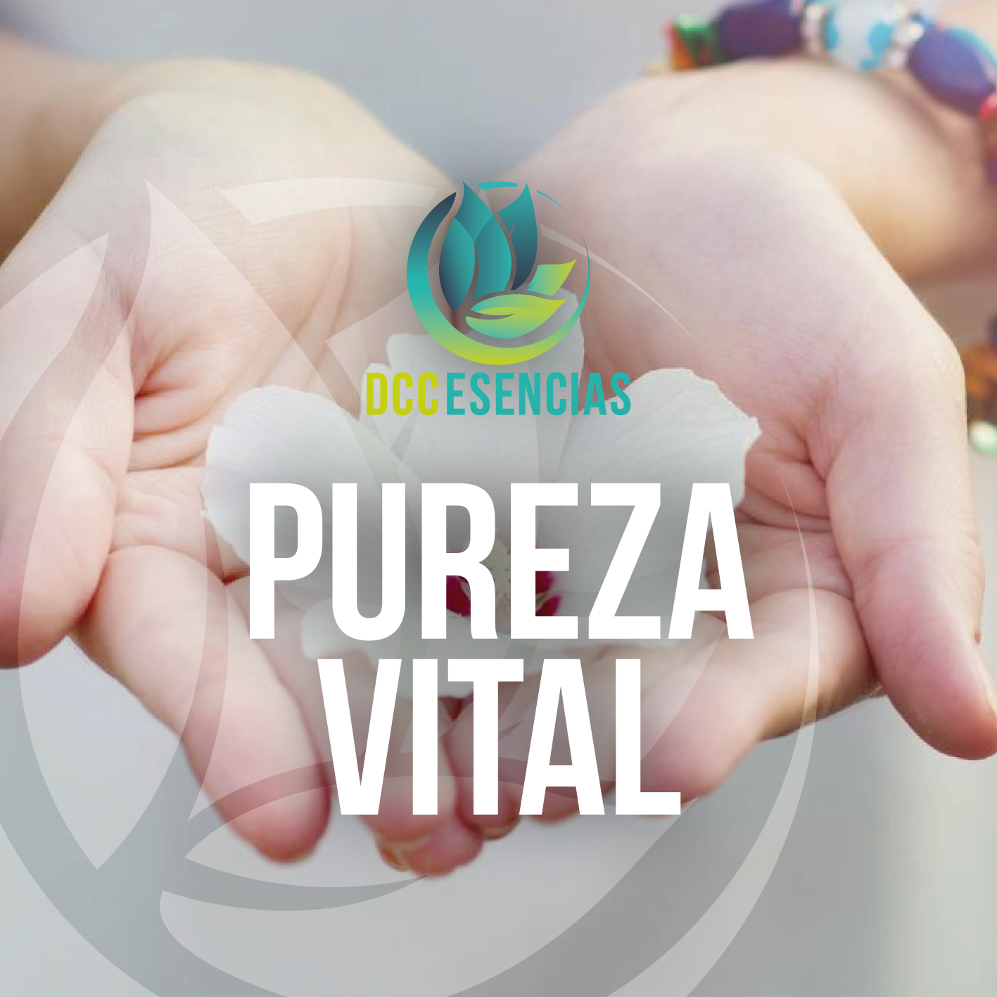 Pureza Vital