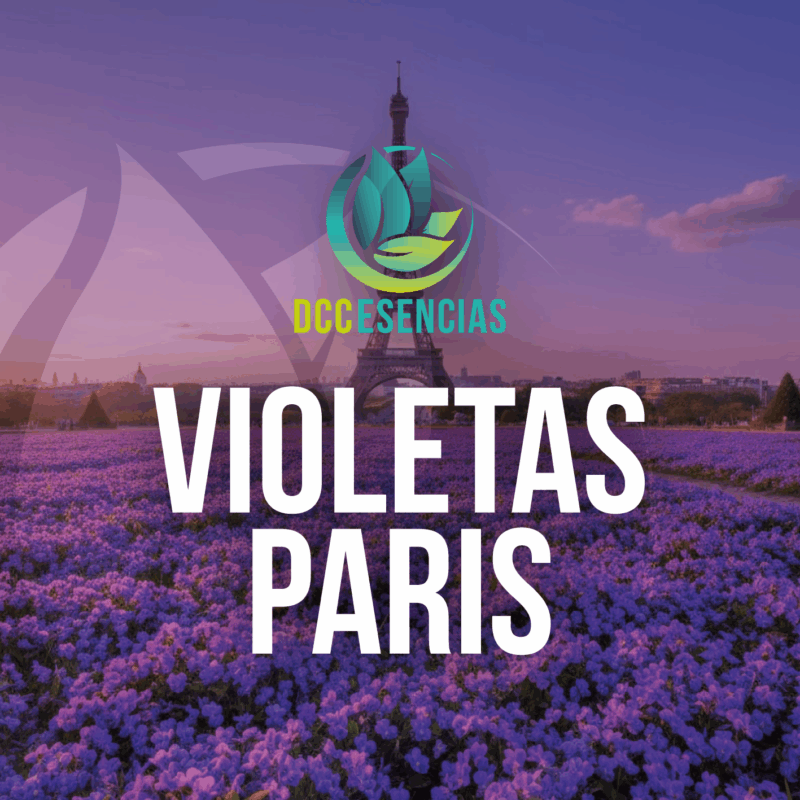 Violetas Paris