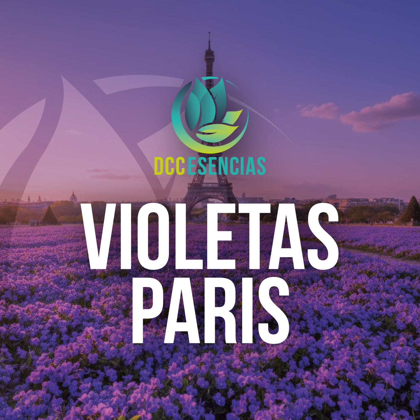 Violetas Paris