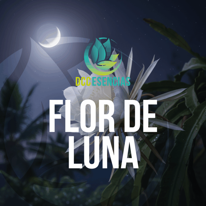 Flor de Luna