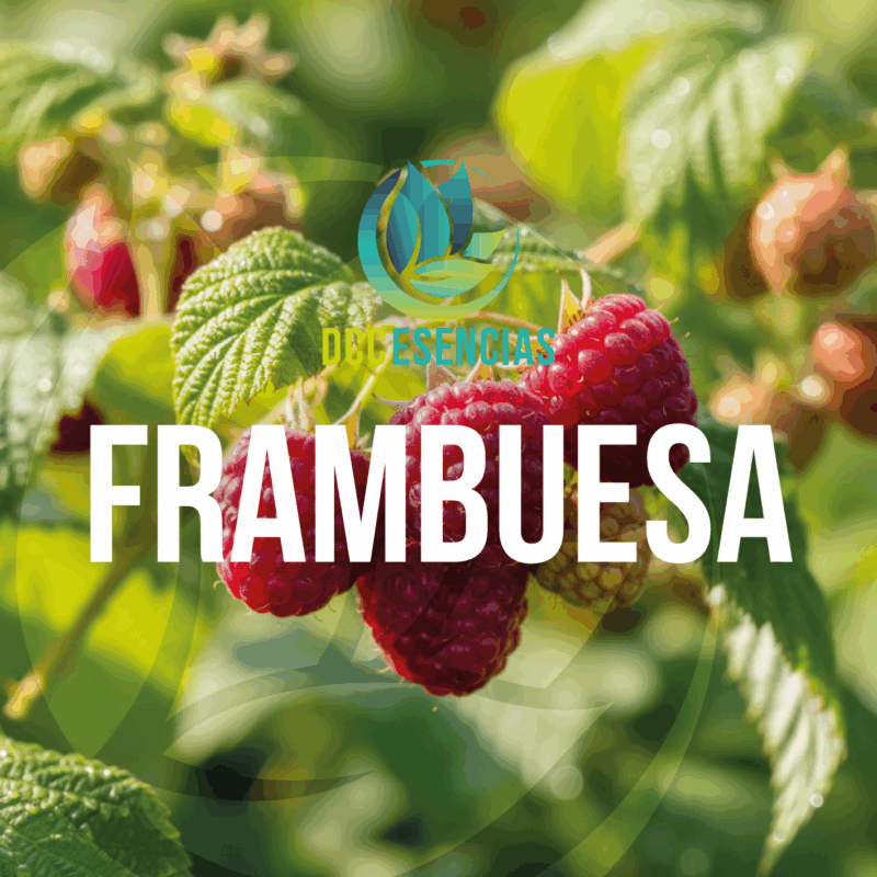 Frambuesa