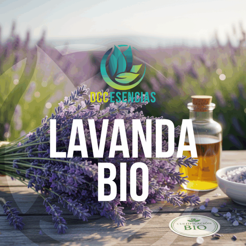 Lavanda Bio