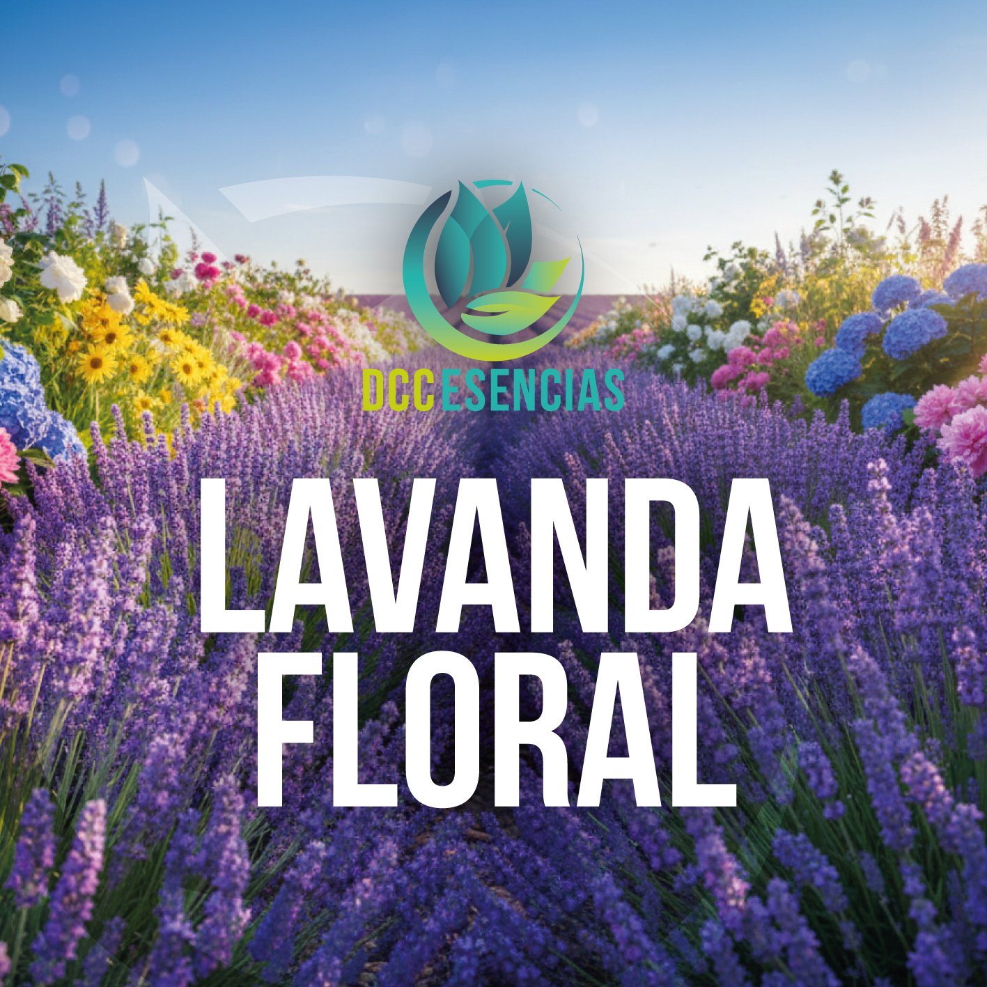 Lavanda Floral