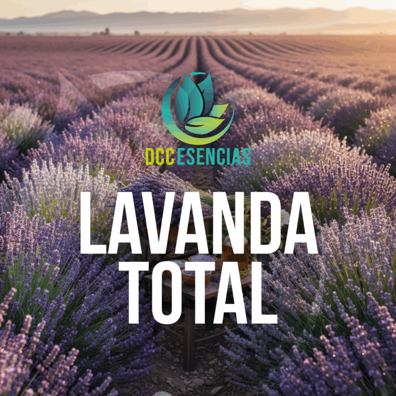 Lavanda Total