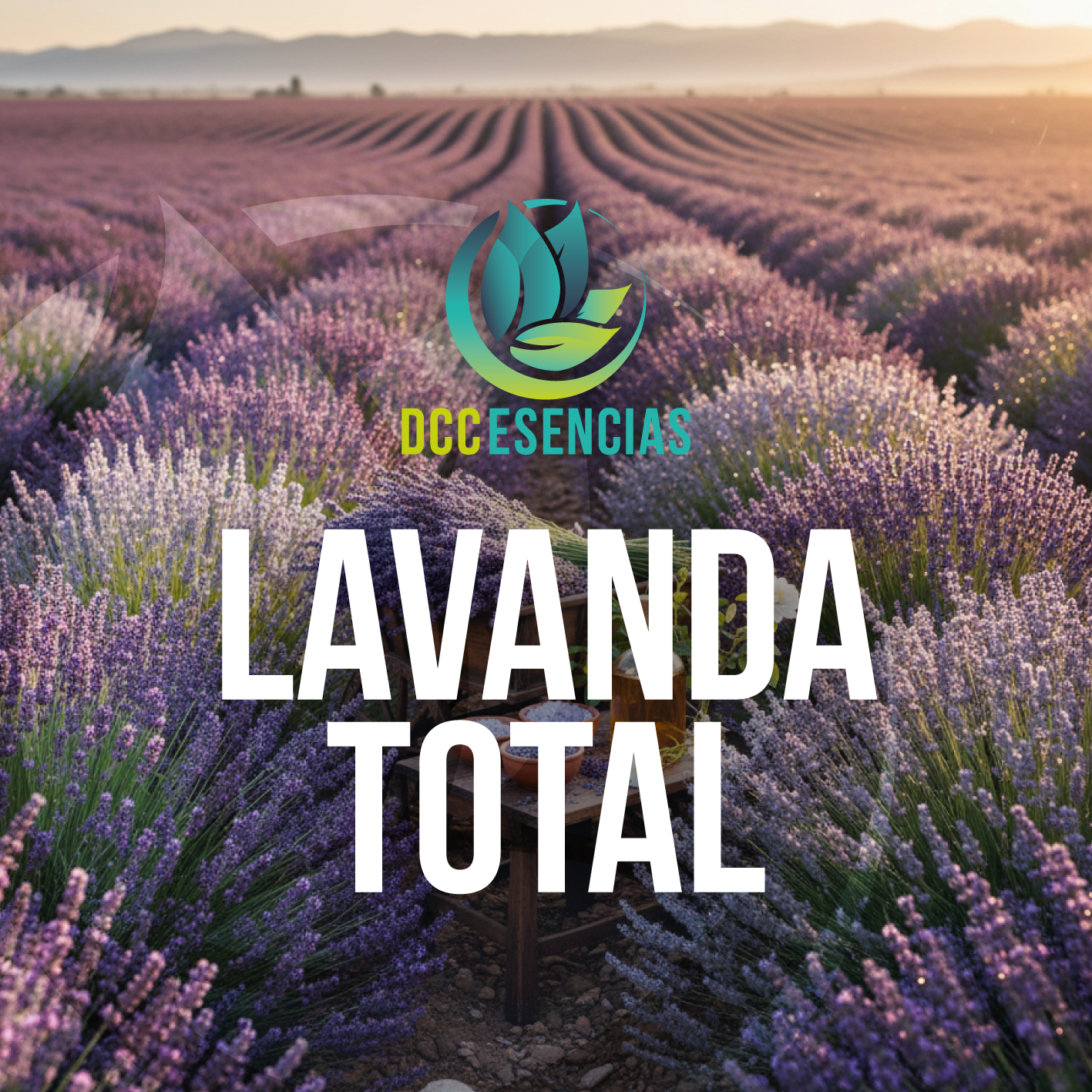 Lavanda Total