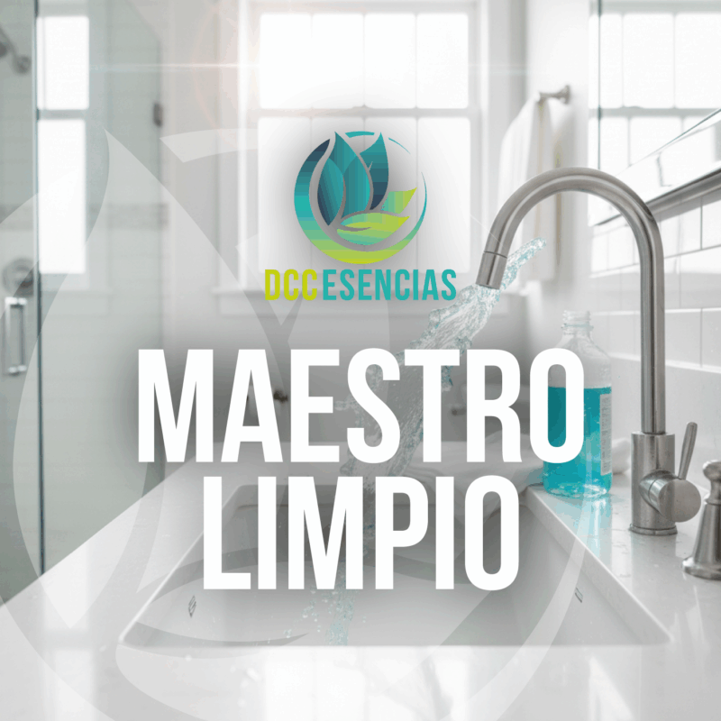 Inspiración Maestro Limpio