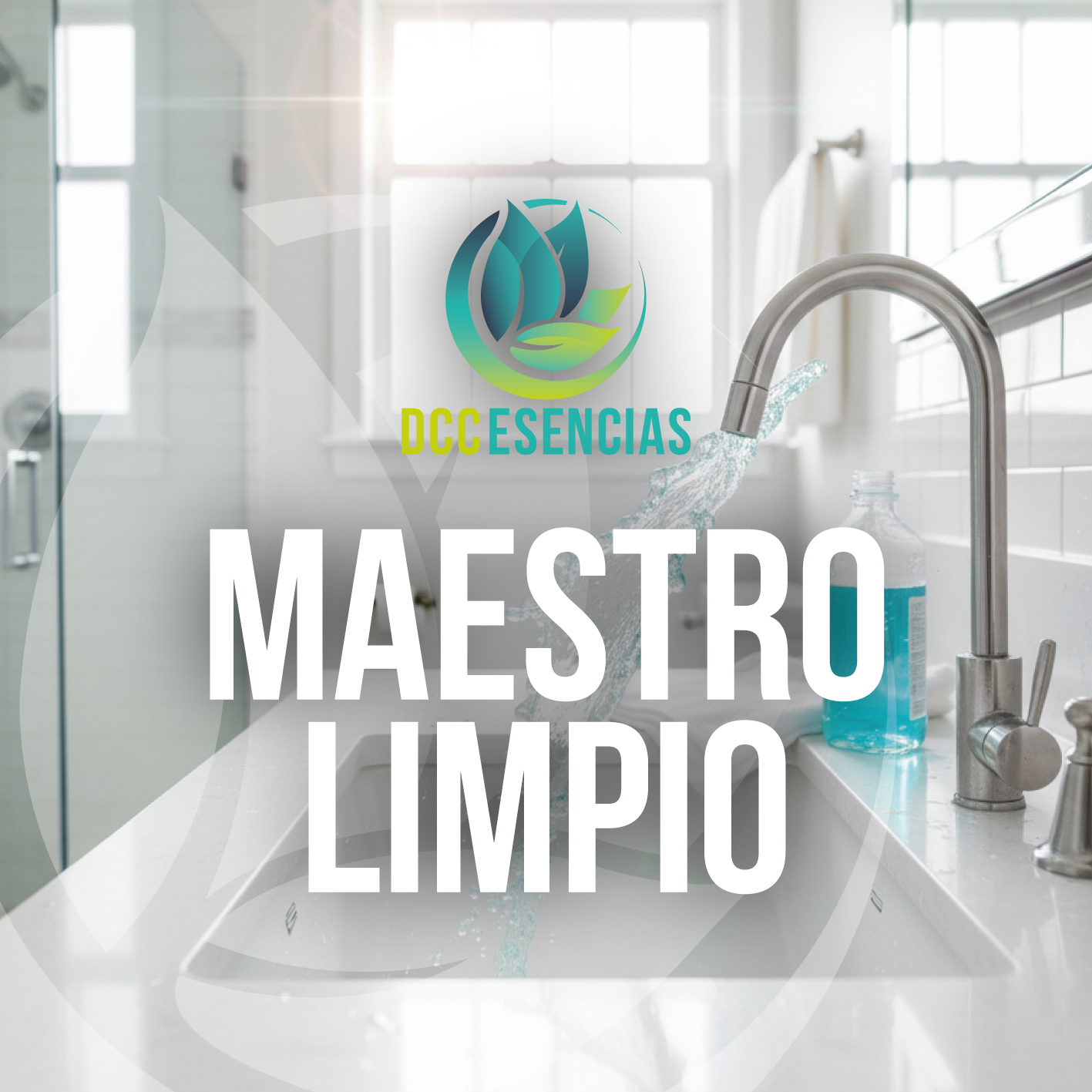 Inspiración Maestro Limpio