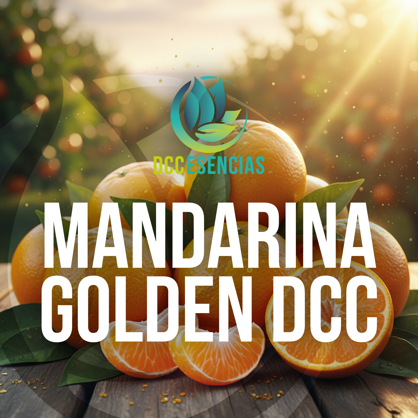 Mandarina Golden DCC