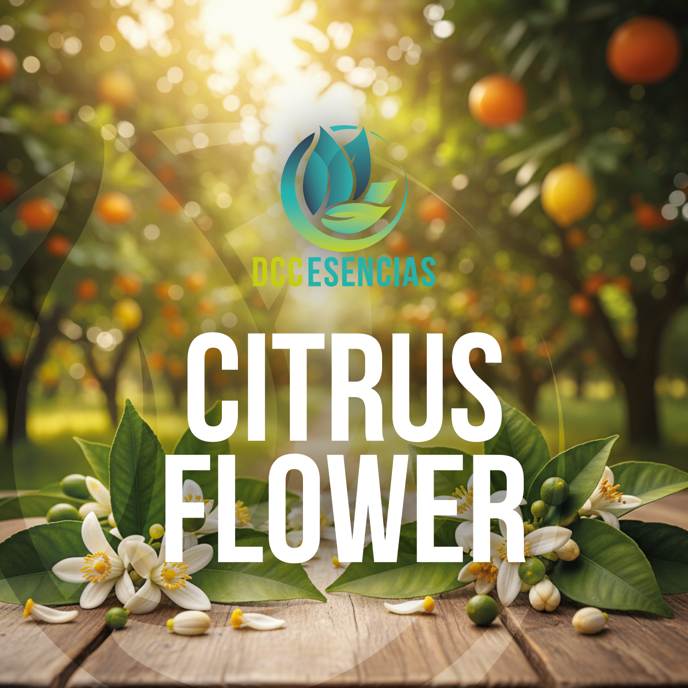 Citrus Flowers