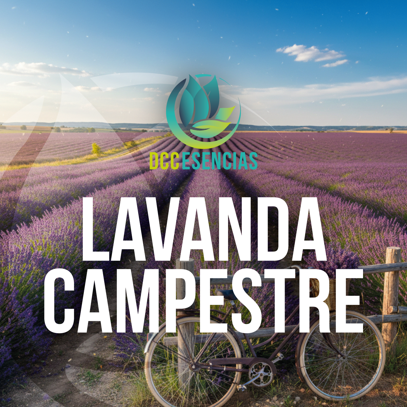 Lavanda Campestre
