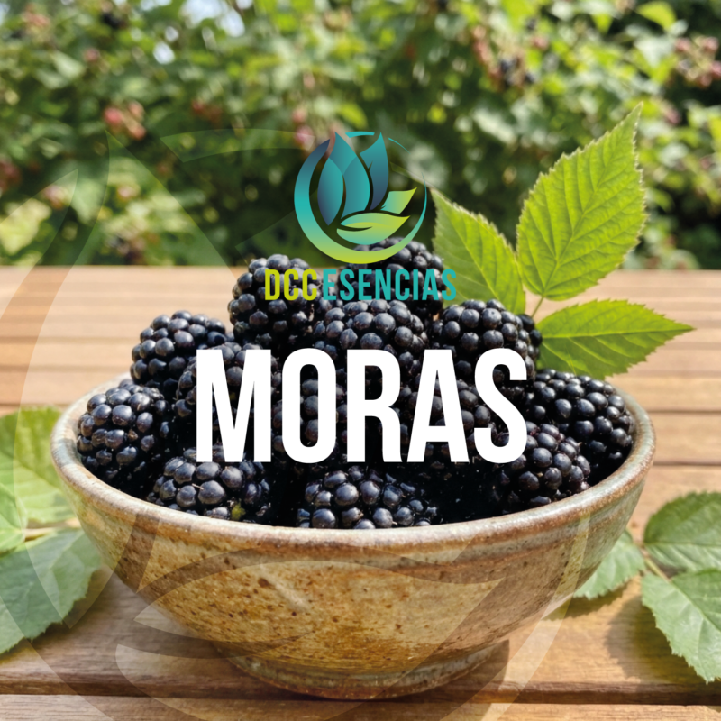 Moras