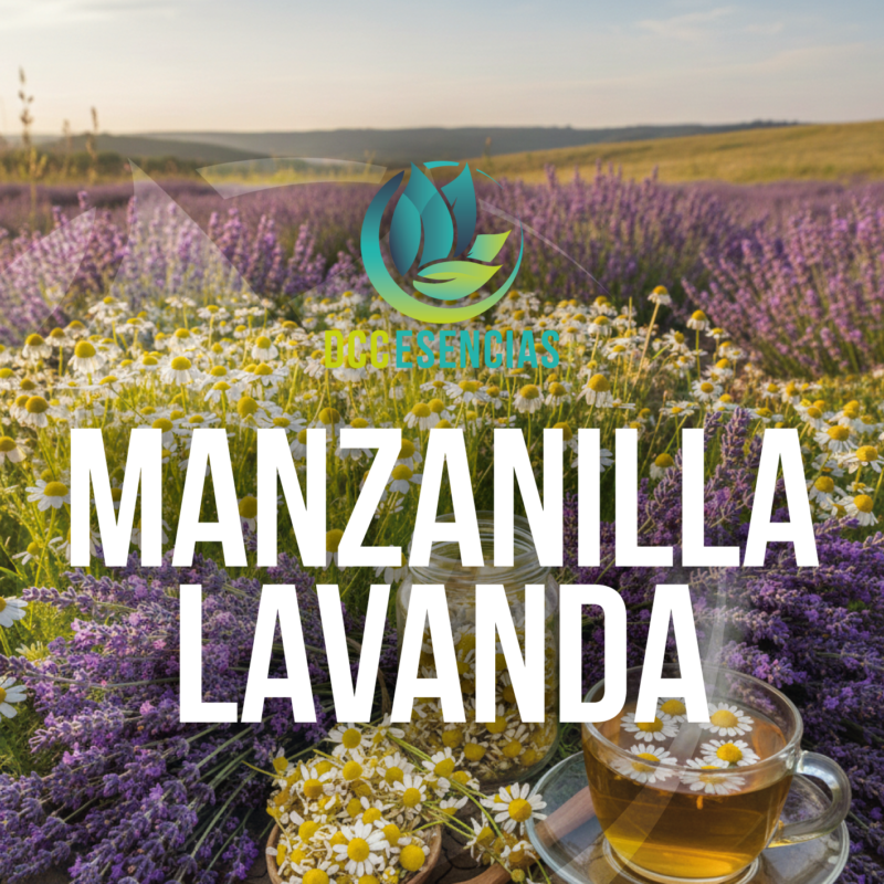 Manzanilla Lavanda