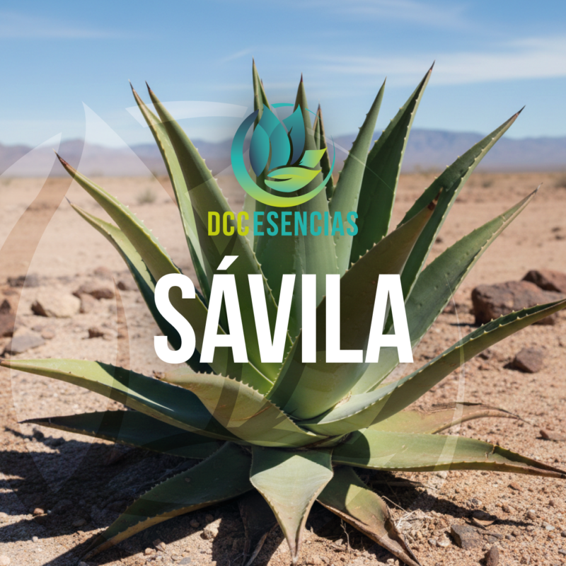 Savila