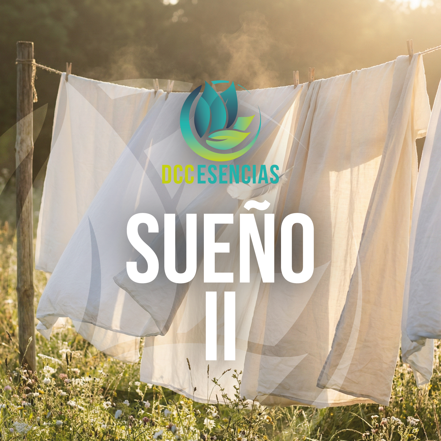 Sueño II